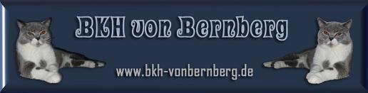 www.bkh-vonbernberg.de